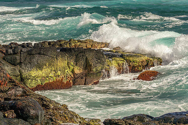 Hawaii Wall Art featuring the photograph Colors Of Kauai's Rocky Shore by Nancy Gleason