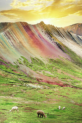 Collection Wall Art featuring the photograph Colors Of Peru - Rainbow Mountain At Sunset by Philippe HUGONNARD