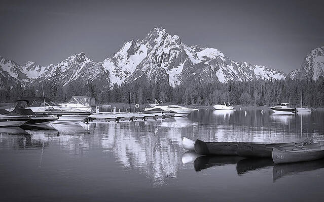 Wall Art featuring the photograph Colter Bay Reflections Black And White by Dan Sproul