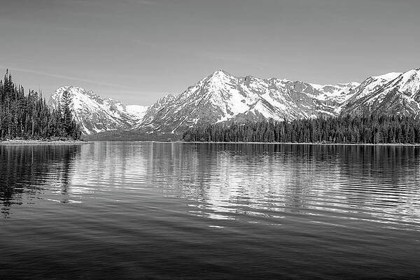 Wall Art featuring the photograph Colter Bay Waves And Reflections by Dan Sproul