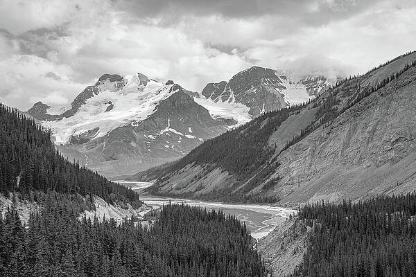 Wilderness Photograph - Columbia Icefield by Cindy Robinson