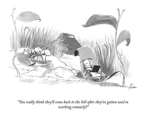 Ants Debating Remote Work Wall Art