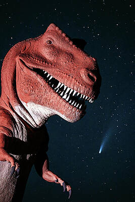 Wall Art featuring the photograph Comet Me by KC Hulsman