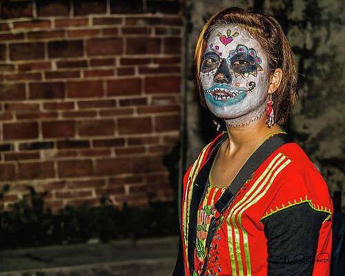 Heritage Wall Art featuring the photograph Comparsa by Steven Dos Remedios