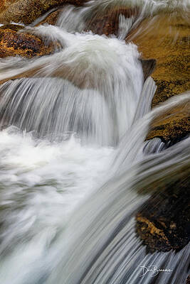 Mountain Photograph - Complex Cascade #0349 by Dan Beauvais