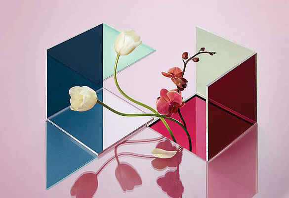 Geometric Reflections with Flowers Wall Art