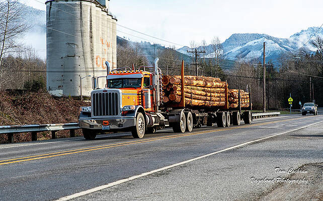 2023 Photograph - Concrete Silos And Log Truck by Tom Cochran