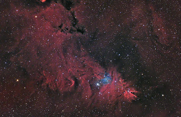 Nebula Photograph - Cone Nebula And Christmas Tree Cluster by Brian Weber