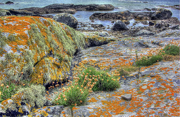 Ireland Photograph - Connemara by Randall Dill