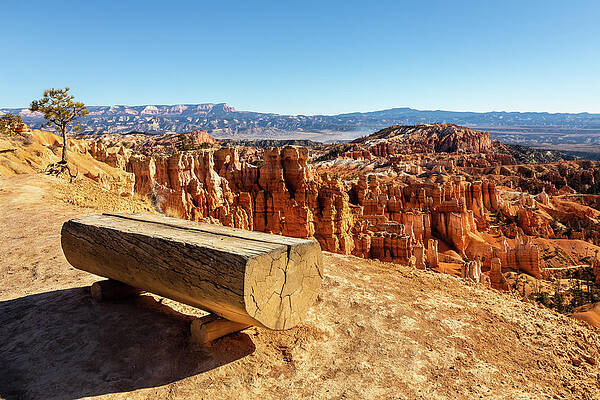Mountain Photograph - Contemplation Bench by Craig A Walker