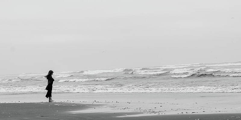 Beach Wall Art featuring the photograph Contemplation by Chad Thunberg