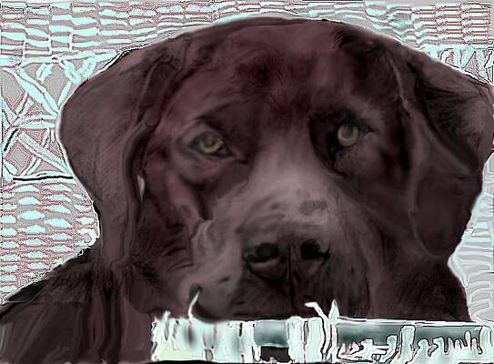 Mixed Media - Contemplation by Pamela Calhoun