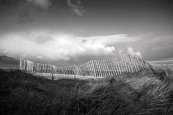Landscape Photograph - Dune Fence At The Maharees,  Black And White Coastal Landscape, Kerry by Mark Callanan