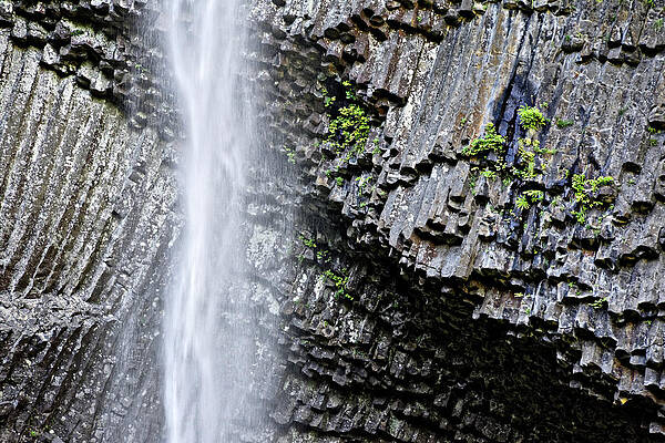 Textured Photograph - A Splash Of Color -- Latourell Falls In The Columbia River Gorge National Scenic Area, Oregon by Darin Volpe