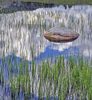 Photograph - Convergence by Randall Dill