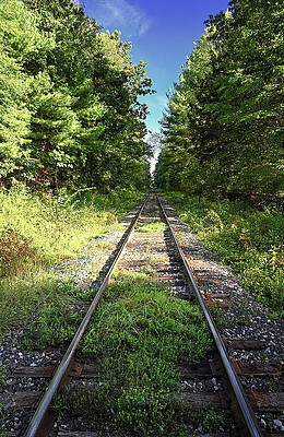 Wall Art featuring the photograph Converging Tracks by Steven Nelson
