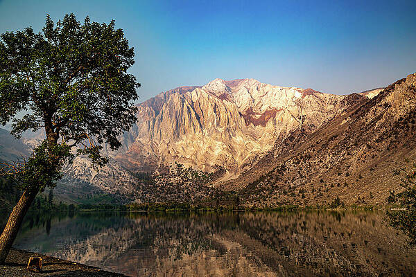 California Wall Art featuring the photograph Convict Lake 10 by Cindy Robinson
