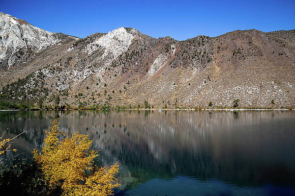 California Wall Art featuring the photograph Convict Lake 20 by Cindy Robinson