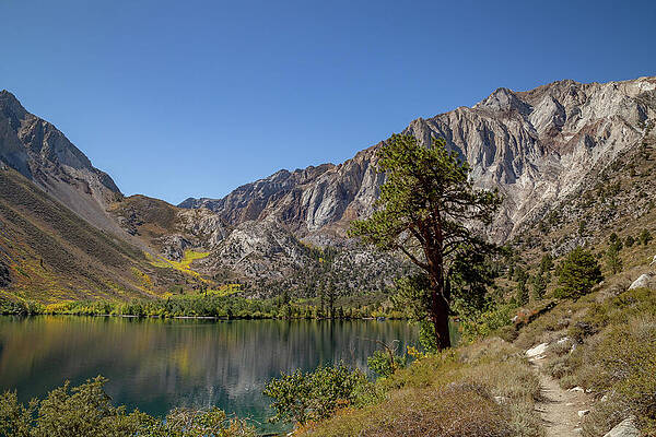 California Wall Art featuring the photograph Convict Lake 28 by Cindy Robinson