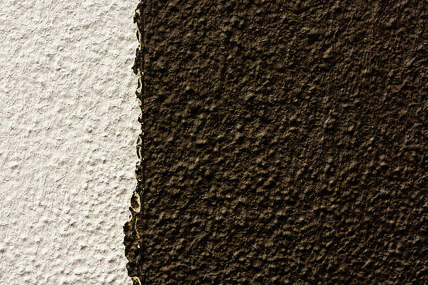 Urban Wall Art featuring the photograph Cookies And Cream #1 by Chad Thunberg