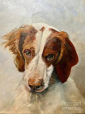 Painting - Cooper - Brittany Spaniel by Jan Dappen