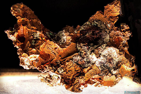 Wall Art featuring the photograph Copper by Rene Vasquez