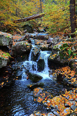 Wall Art featuring the photograph Coppermine Waterfall 1 by Raymond Salani III