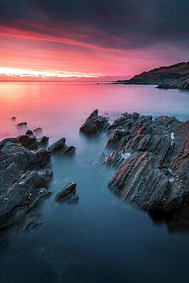 Cornwall Pinks by Monamifoto
