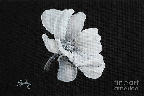 Painting - Cosmos by Shirley Dutchkowski