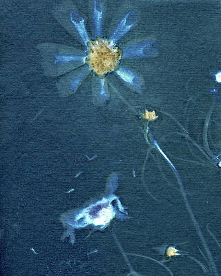 Blue and White Floral Forms Photograph