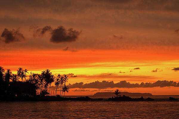 Tree Wall Art featuring the photograph Costa Rica Sunset by Diane Moller