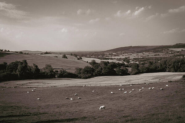 Scenic Photograph - Cotswolds  Countryside Near Winchcombe by Seeables Visual Arts