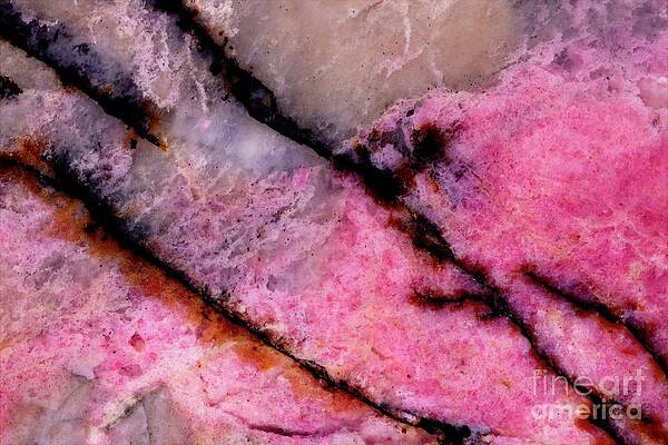 Abstract Photograph - Awareness by Eric Kyle