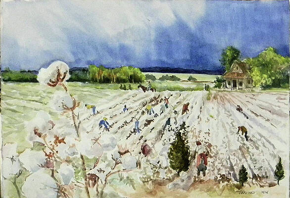 Cotton Pickin' Days by Sheila Parsons