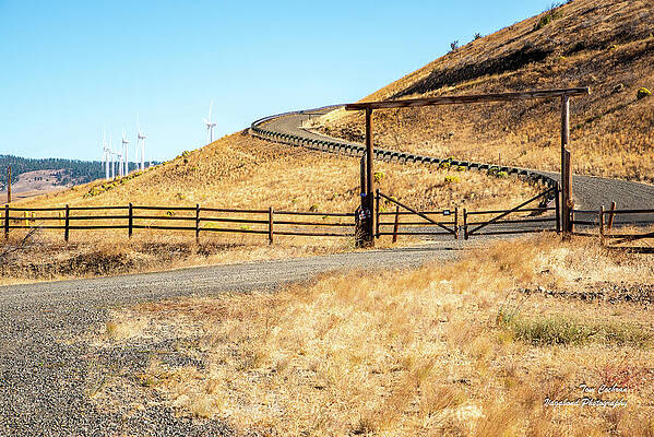 September Photograph - Country Driveway In Kittitas County by Tom Cochran