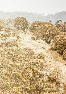 Rustic Photograph - Country Hills by Jorgo Photography