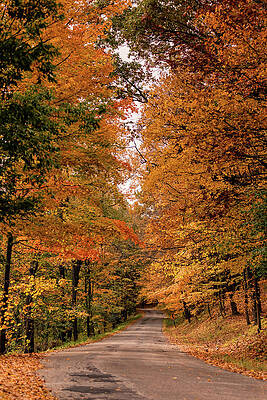 Fall Photograph - Country Road In Fall by Craig A Walker