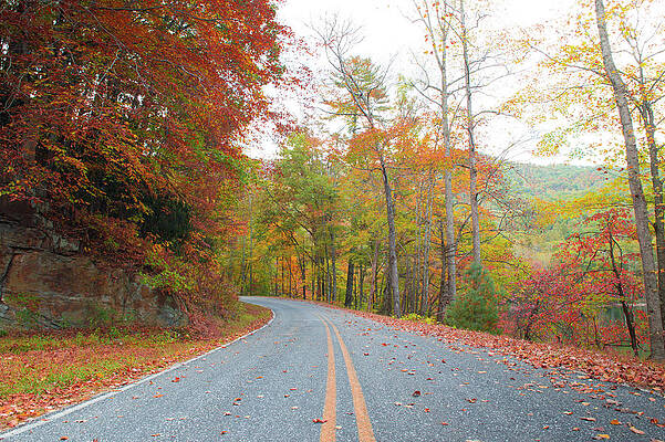 North Carolina Photograph - Country Road by Joe Leone