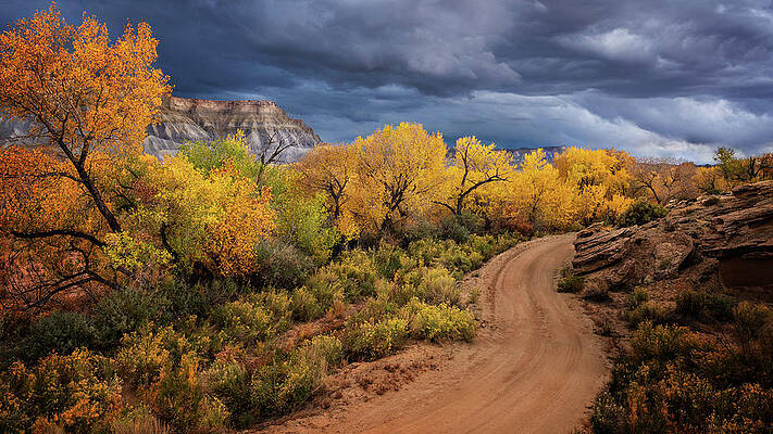 Wall Art featuring the photograph Country Road Take Me Home by Maryanne Keeling