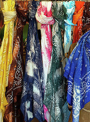 Wall Art featuring the photograph Country Scarves by Gina Fitzhugh
