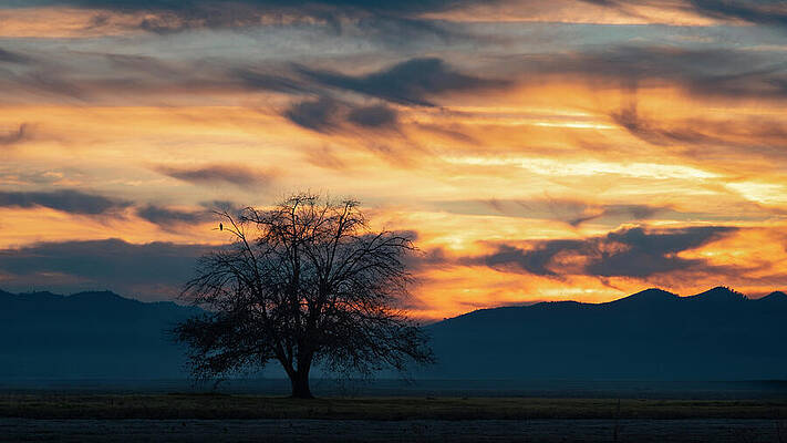 California Wall Art featuring the photograph Country Sunset - Colusa County California by Mike Lee