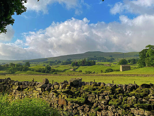 Stone Wall in Lush Countryside Photograph
