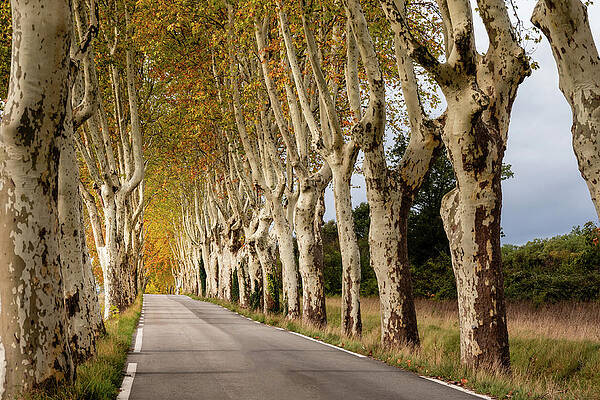 Fall Photograph - Countryside In Fall by Craig A Walker