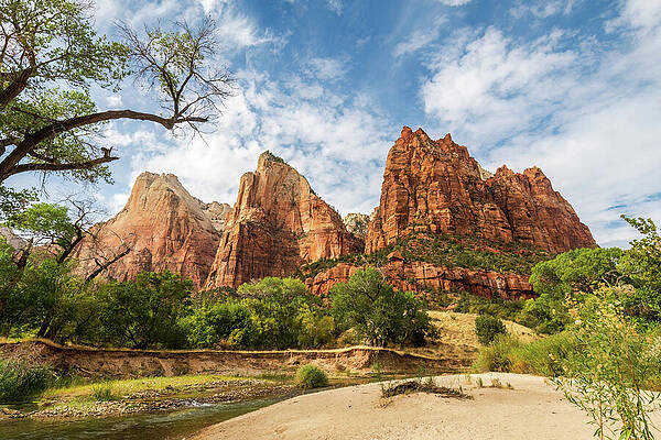 Tree Wall Art featuring the photograph Court Of The Patriarchs-2 by Diane Moller