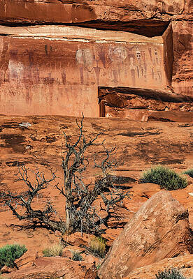 Alien Photograph - Courthouse Wash Panel, Utah - Vertical by Abbie Warnock