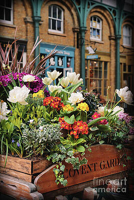 Garden Photograph - Covent Garden Market London England by Abigail Diane Photography