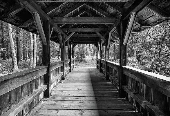 Wall Art featuring the photograph Covered Bridge by Steven Nelson