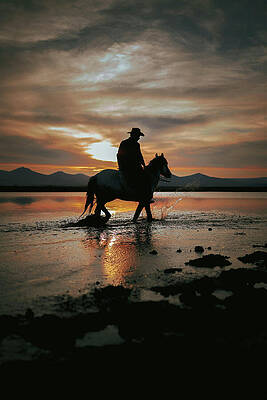 Water Photograph - Cowboy And Horse Crossing River At Sunset by Printed View