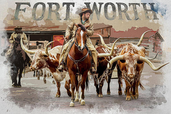 Cowboy Leading Cattle in Fort Worth Wall Art