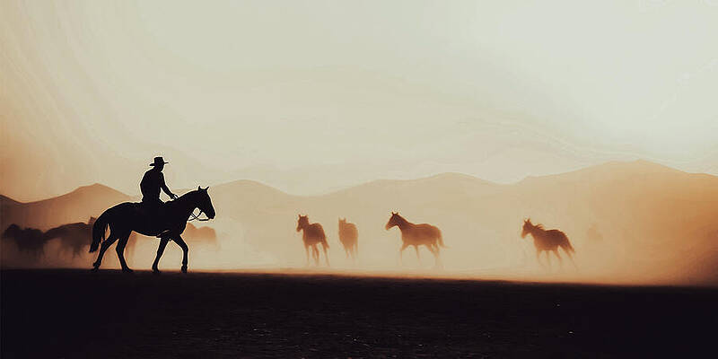 Mountain Photograph - Cowboy Rounding Up Horses by Printed View